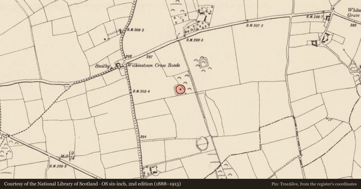 Ordnance Survey six-inch map, 2nd edition (1888–1915) covering the location of Moated site, Wilkinstown, County Wexford, with a pin at the register's coordinates