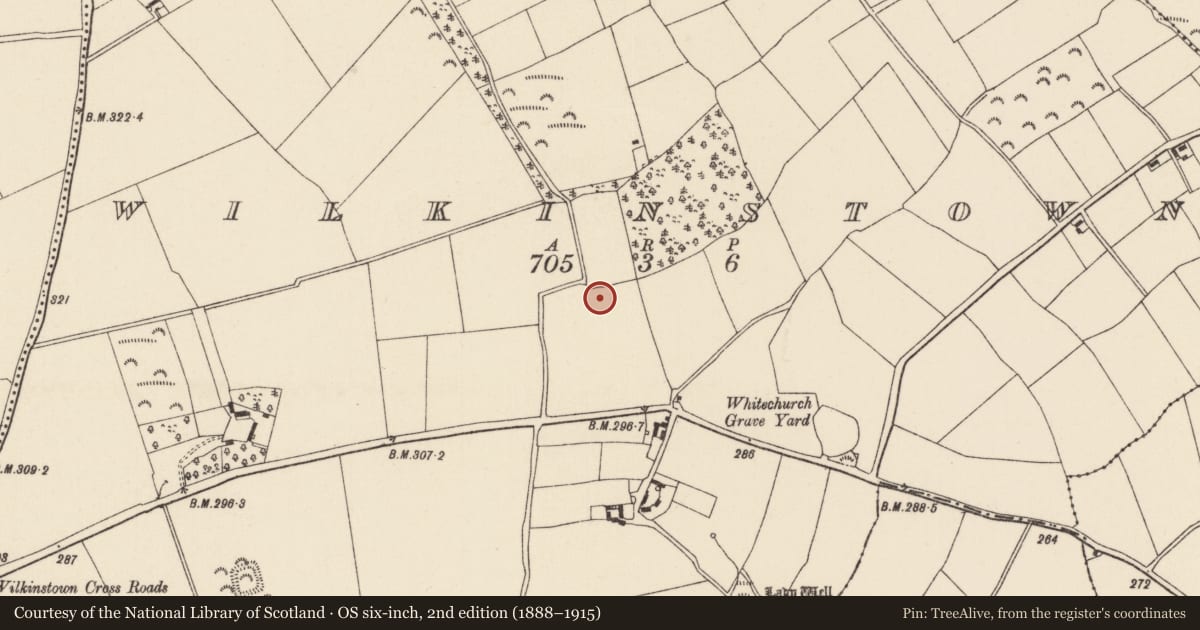 Ordnance Survey six-inch map, 2nd edition (1888–1915) covering the location of Ringfort - unclassified, Wilkinstown, County Wexford, with a pin at the register's coordinates