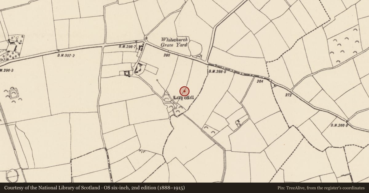 Ordnance Survey six-inch map, 2nd edition (1888–1915) covering the location of Ringfort - rath, Wilkinstown, County Wexford, with a pin at the register's coordinates