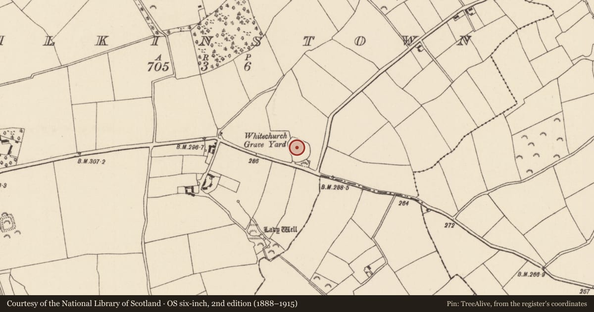Ordnance Survey six-inch map, 2nd edition (1888–1915) covering the location of Church, Wilkinstown, County Wexford, with a pin at the register's coordinates
