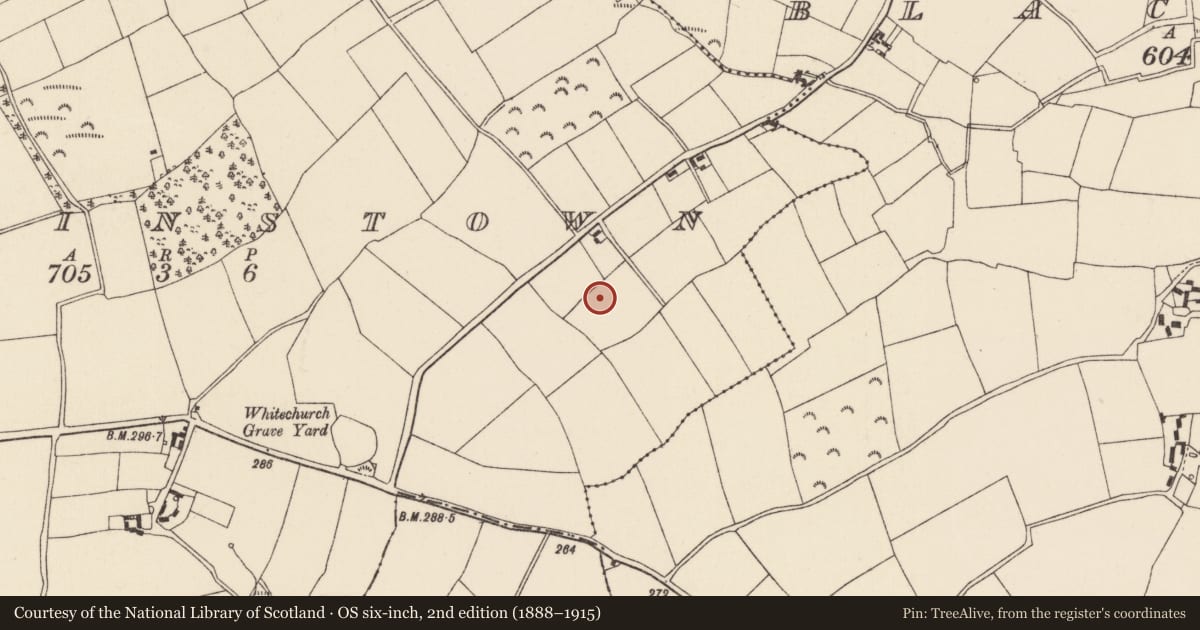 Ordnance Survey six-inch map, 2nd edition (1888–1915) covering the location of Ringfort - unclassified, Wilkinstown, County Wexford, with a pin at the register's coordinates