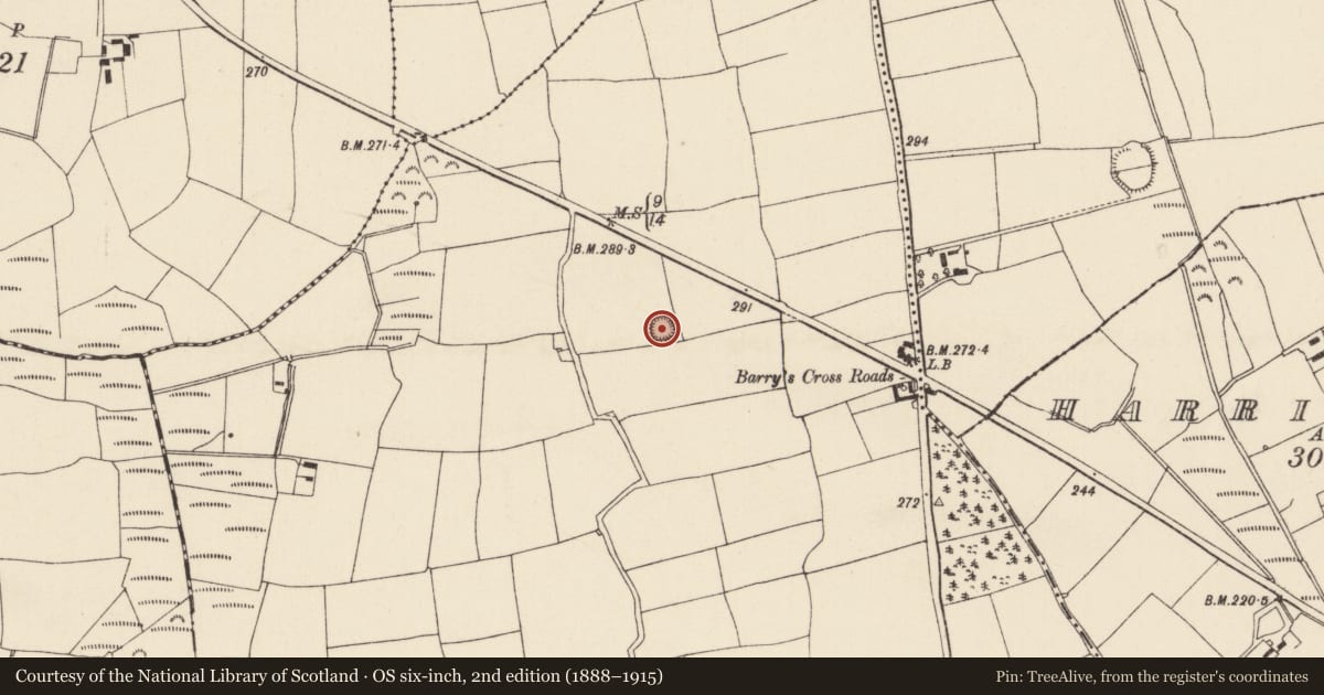 Ordnance Survey six-inch map, 2nd edition (1888–1915) covering the location of Ringfort - unclassified, Bricketstown, County Wexford, with a pin at the register's coordinates
