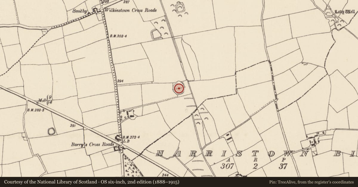 Ordnance Survey six-inch map, 2nd edition (1888–1915) covering the location of Ringfort - rath, Wilkinstown, County Wexford, with a pin at the register's coordinates