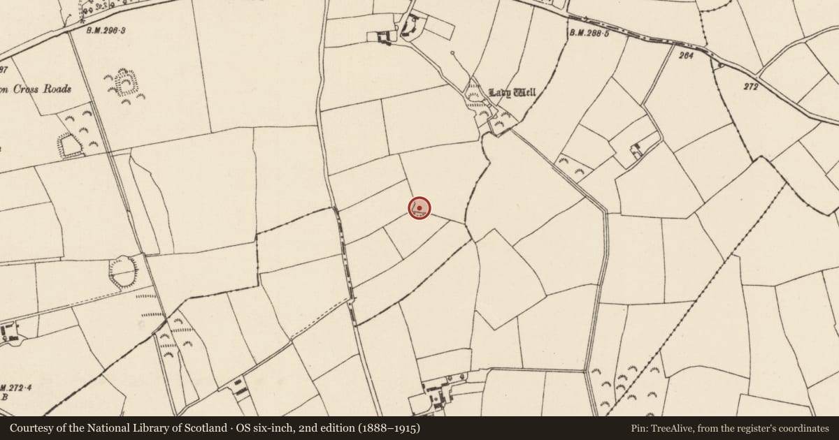 Ordnance Survey six-inch map, 2nd edition (1888–1915) covering the location of Ringfort - rath, Wilkinstown, County Wexford, with a pin at the register's coordinates