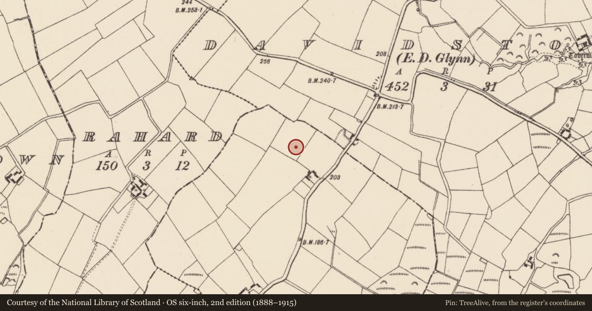 Ordnance Survey six-inch map, 2nd edition (1888–1915) covering the location of Ringfort - rath, Tomcool Big, County Wexford, with a pin at the register's coordinates