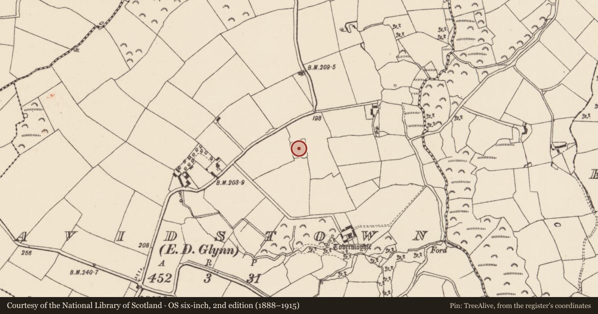 Ordnance Survey six-inch map, 2nd edition (1888–1915) covering the location of Moated site, Davidstown, County Wexford, with a pin at the register's coordinates