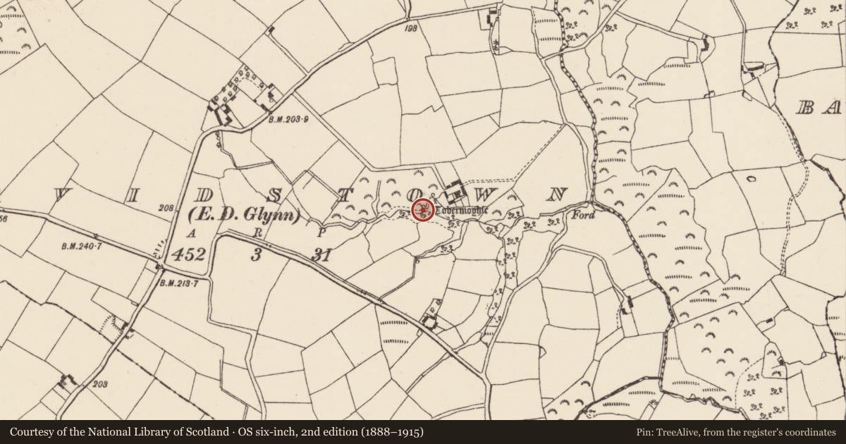 Ordnance Survey six-inch map, 2nd edition (1888–1915) covering the location of Ritual site - holy well, Davidstown, County Wexford, with a pin at the register's coordinates