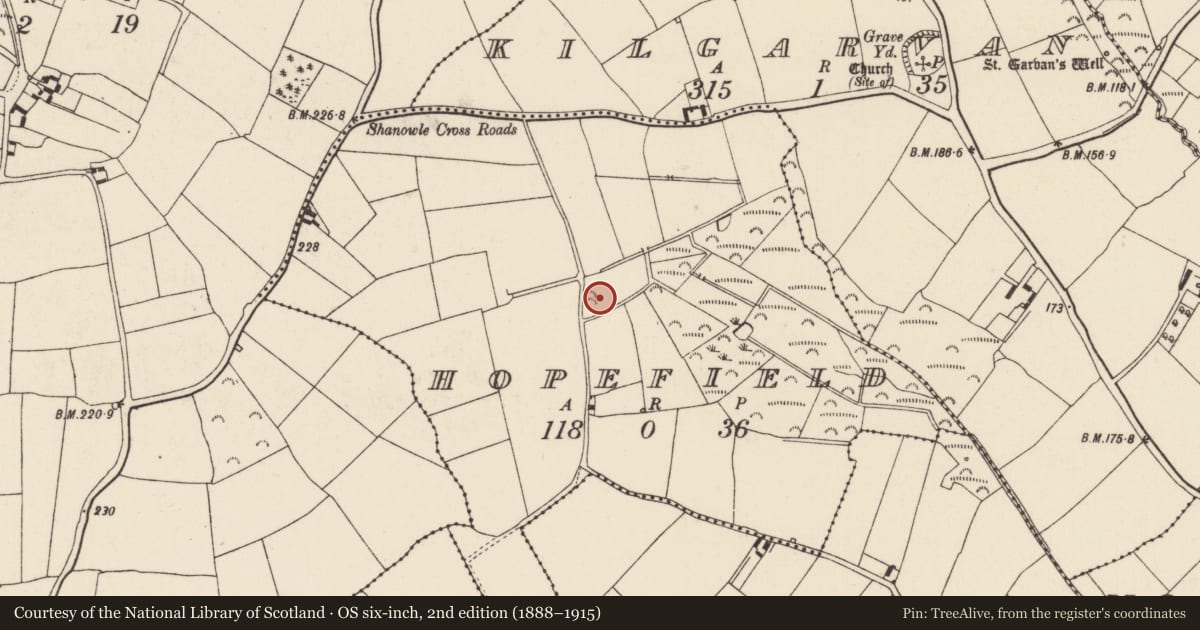 Ordnance Survey six-inch map, 2nd edition (1888–1915) covering the location of Moated site, Hopefield, County Wexford, with a pin at the register's coordinates