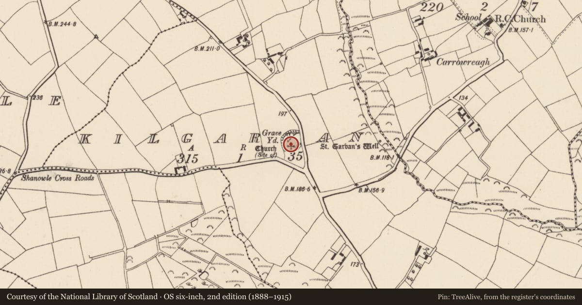 Ordnance Survey six-inch map, 2nd edition (1888–1915) covering the location of Church, Kilgarvan, County Wexford, with a pin at the register's coordinates