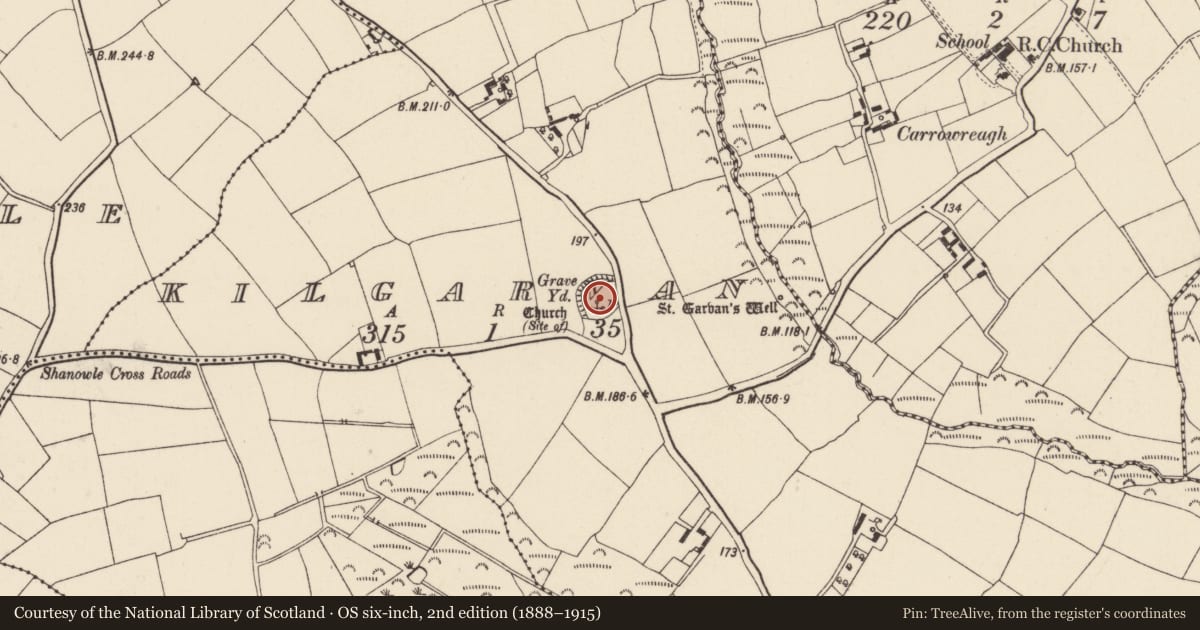 Ordnance Survey six-inch map, 2nd edition (1888–1915) covering the location of Graveyard, Kilgarvan, County Wexford, with a pin at the register's coordinates