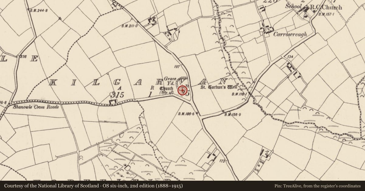 Ordnance Survey six-inch map, 2nd edition (1888–1915) covering the location of Graveslab, Kilgarvan, County Wexford, with a pin at the register's coordinates
