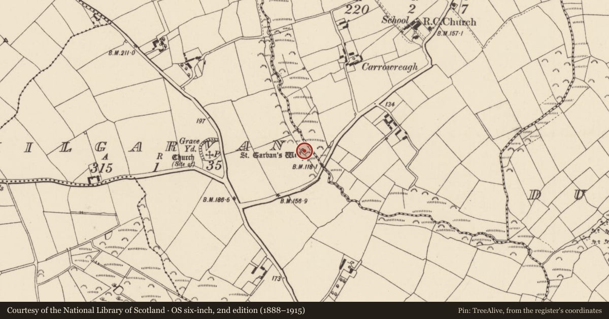 Ordnance Survey six-inch map, 2nd edition (1888–1915) covering the location of Ritual site - holy well, Kilgarvan, County Wexford, with a pin at the register's coordinates