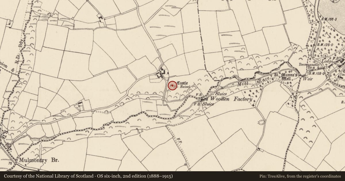 Ordnance Survey six-inch map, 2nd edition (1888–1915) covering the location of House - 17th century, Dungeer, County Wexford, with a pin at the register's coordinates
