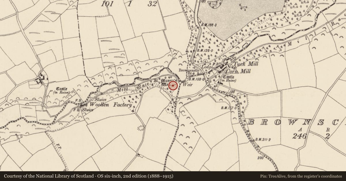 Ordnance Survey six-inch map, 2nd edition (1888–1915) covering the location of Ritual site - holy well, Mulmontry, County Wexford, with a pin at the register's coordinates