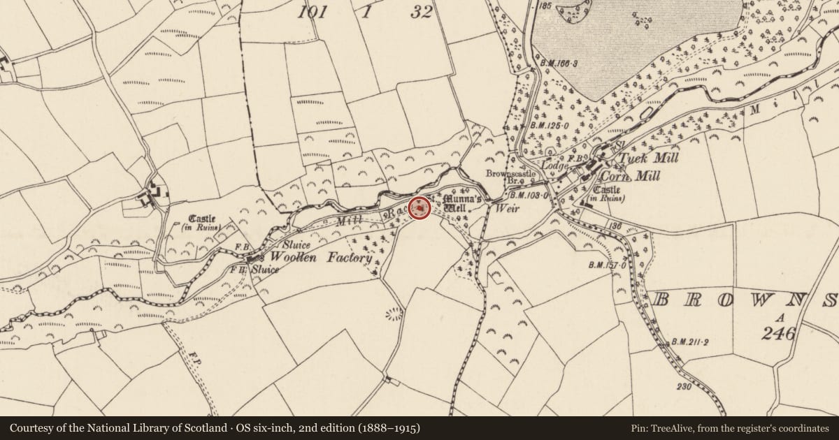 Ordnance Survey six-inch map, 2nd edition (1888–1915) covering the location of Ritual site - holy/saint's stone, Mulmontry, County Wexford, with a pin at the register's coordinates
