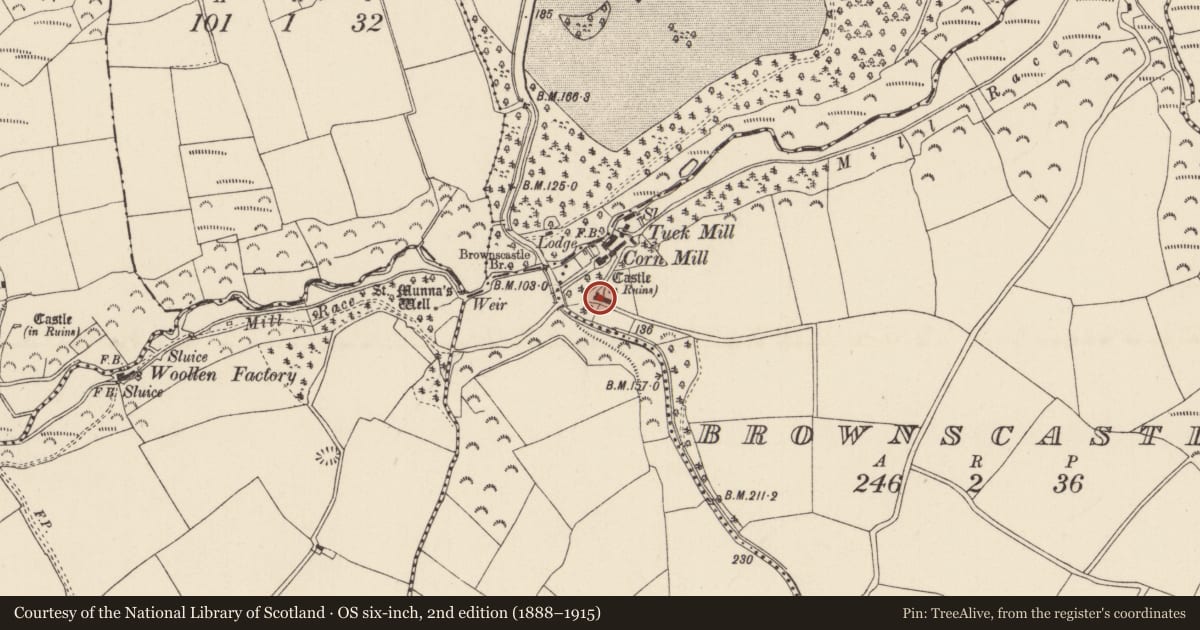 Ordnance Survey six-inch map, 2nd edition (1888–1915) covering the location of House - 16th/17th century, Brownscastle, County Wexford, with a pin at the register's coordinates
