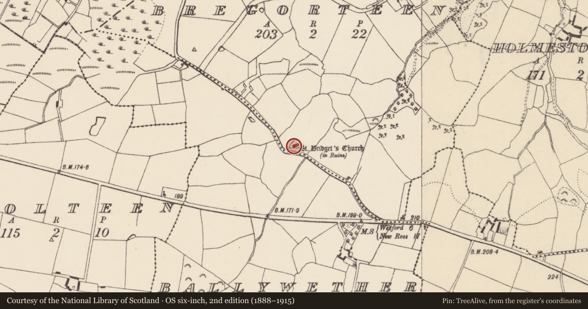 Ordnance Survey six-inch map, 2nd edition (1888–1915) covering the location of Church, Bregorteen, County Wexford, with a pin at the register's coordinates