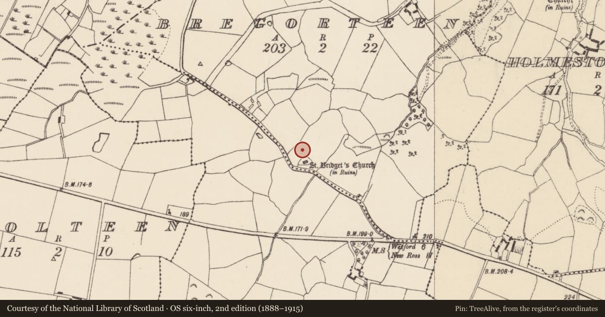 Ordnance Survey six-inch map, 2nd edition (1888–1915) covering the location of Ecclesiastical enclosure, Bregorteen, County Wexford, with a pin at the register's coordinates