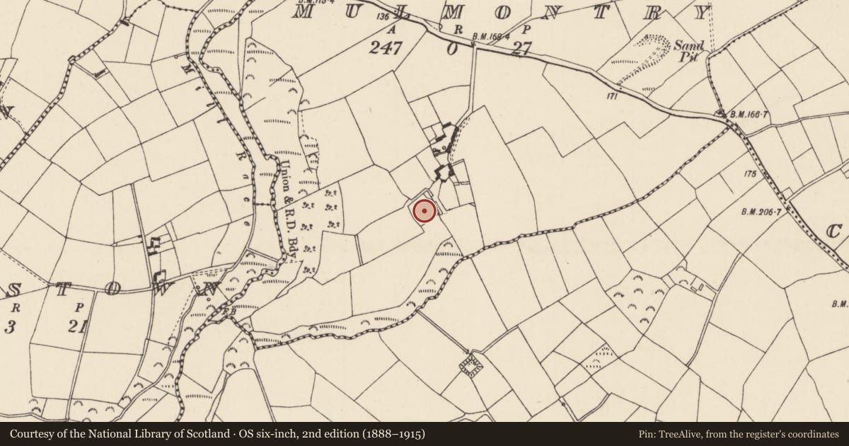 Ordnance Survey six-inch map, 2nd edition (1888–1915) covering the location of Moated site, Mulmontry, County Wexford, with a pin at the register's coordinates