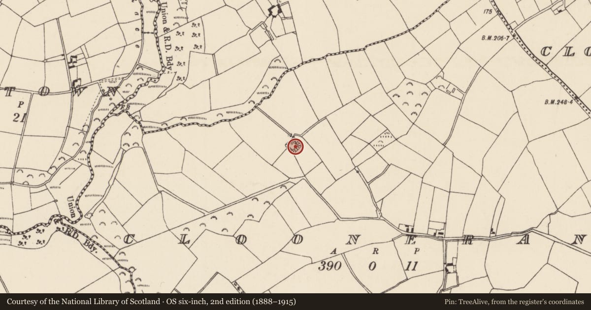 Ordnance Survey six-inch map, 2nd edition (1888–1915) covering the location of Moated site, Cloonerane, County Wexford, with a pin at the register's coordinates