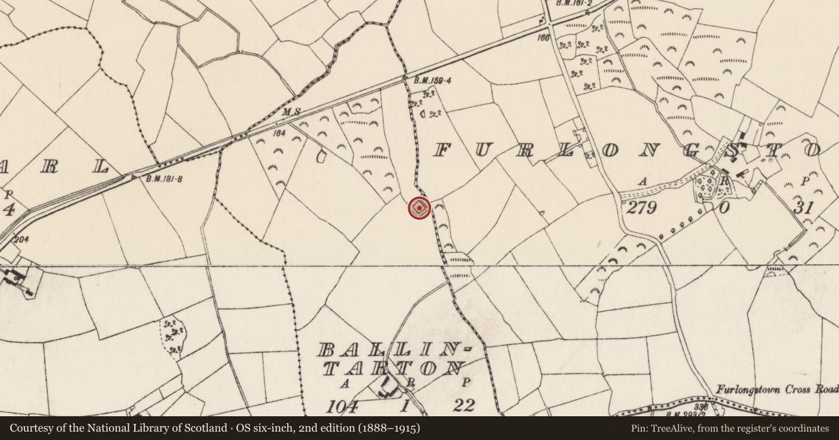 Ordnance Survey six-inch map, 2nd edition (1888–1915) covering the location of Moated site, Ballintarton, County Wexford, with a pin at the register's coordinates