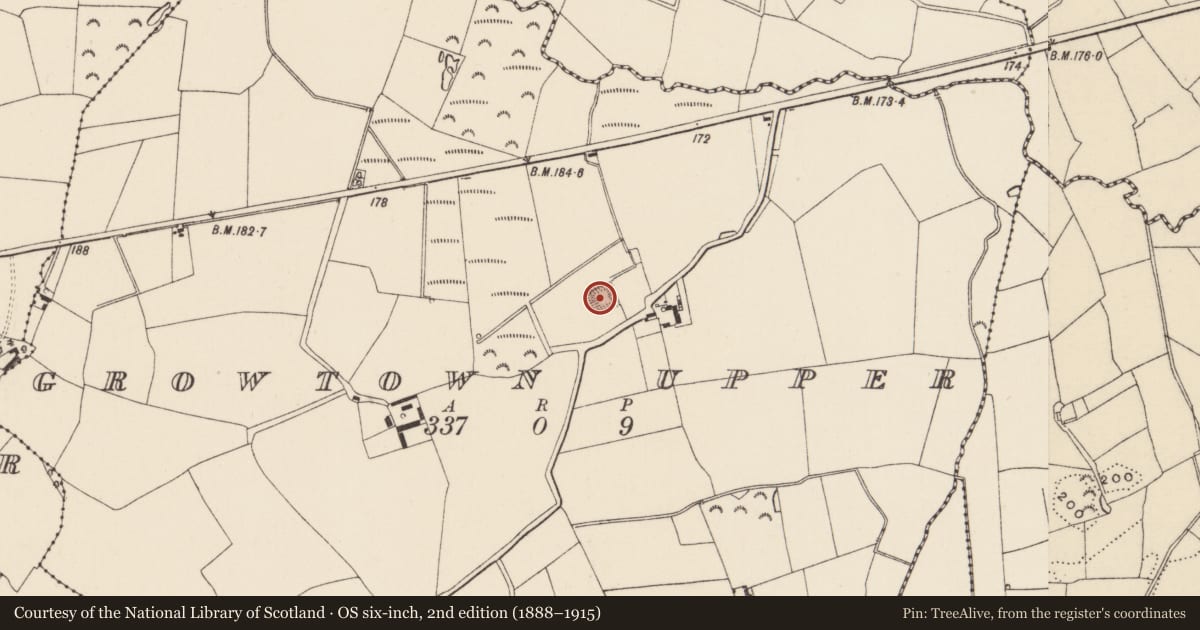 Ordnance Survey six-inch map, 2nd edition (1888–1915) covering the location of Moated site, Growtown Upper, County Wexford, with a pin at the register's coordinates