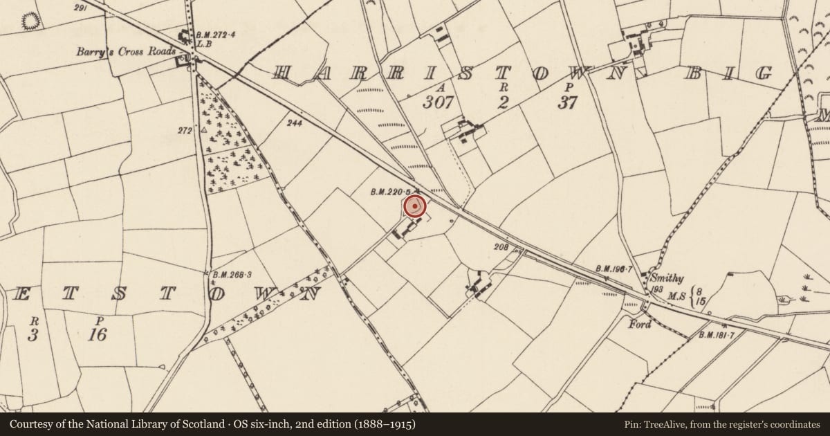 Ordnance Survey six-inch map, 2nd edition (1888–1915) covering the location of Moated site, Harristown Big, County Wexford, with a pin at the register's coordinates