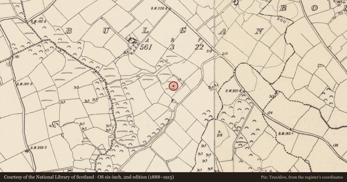 Ordnance Survey six-inch map, 2nd edition (1888–1915) covering the location of Moated site, Bulgan, County Wexford, with a pin at the register's coordinates