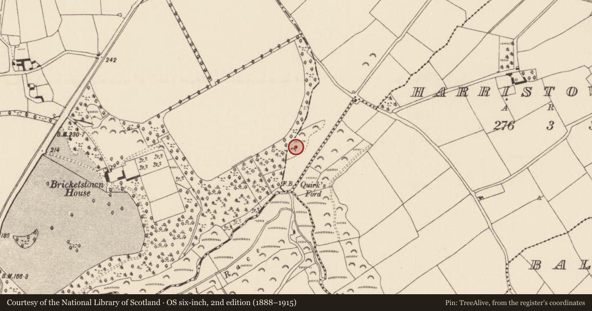 Ordnance Survey six-inch map, 2nd edition (1888–1915) covering the location of Church, Harristown Big, County Wexford, with a pin at the register's coordinates