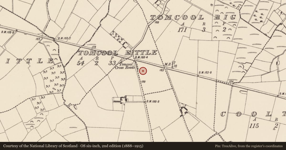 Ordnance Survey six-inch map, 2nd edition (1888–1915) covering the location of Ringfort - rath, Tomcool Little, County Wexford, with a pin at the register's coordinates