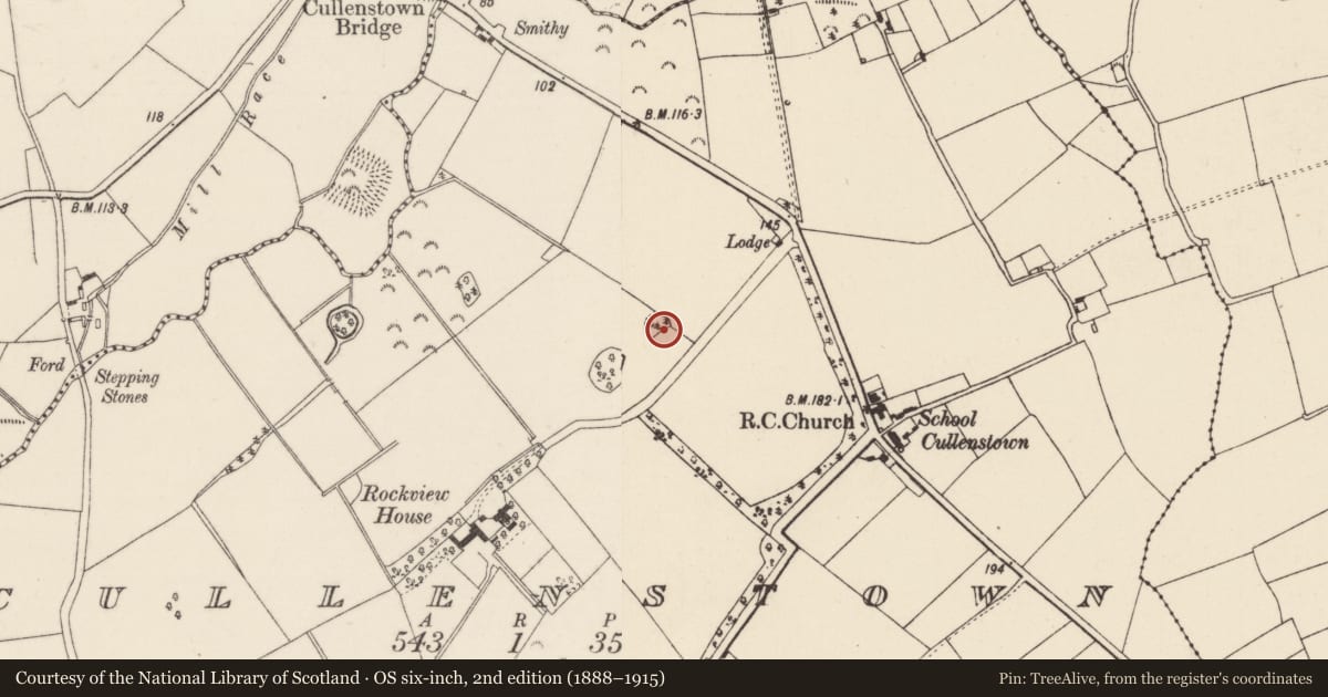 Ordnance Survey six-inch map, 2nd edition (1888–1915) covering the location of Ringfort - rath, Cullenstown, County Wexford, with a pin at the register's coordinates