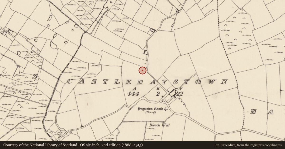 Ordnance Survey six-inch map, 2nd edition (1888–1915) covering the location of Ringfort - rath, Castlehaystown, County Wexford, with a pin at the register's coordinates