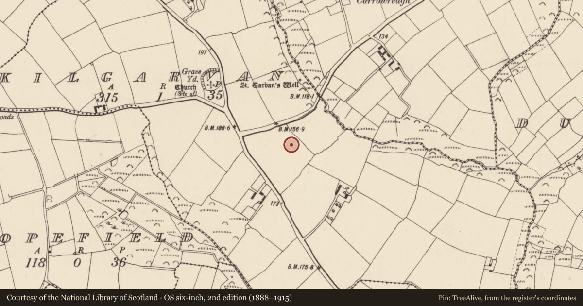 Ordnance Survey six-inch map, 2nd edition (1888–1915) covering the location of Moated site, Kilgarvan, County Wexford, with a pin at the register's coordinates