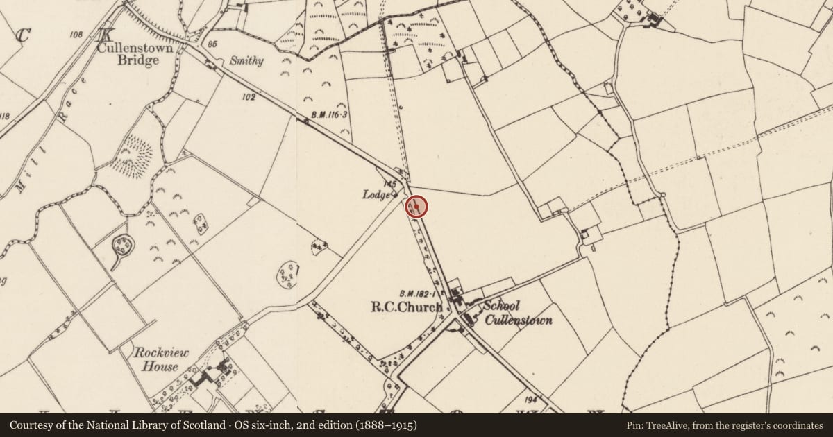 Ordnance Survey six-inch map, 2nd edition (1888–1915) covering the location of Ritual site - holy well, Cullenstown, County Wexford, with a pin at the register's coordinates