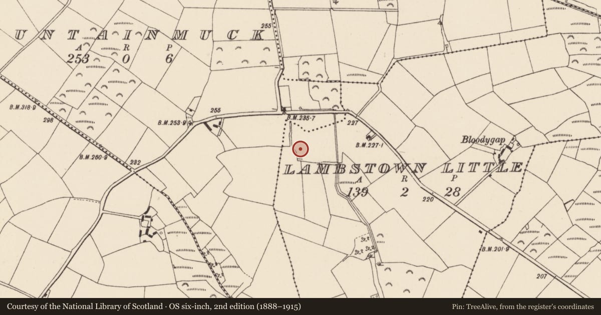 Ordnance Survey six-inch map, 2nd edition (1888–1915) covering the location of Ringfort - rath, Mountainmuck, County Wexford, with a pin at the register's coordinates