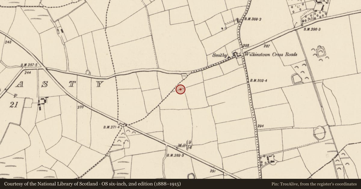 Ordnance Survey six-inch map, 2nd edition (1888–1915) covering the location of Ringfort - rath, Bricketstown, County Wexford, with a pin at the register's coordinates