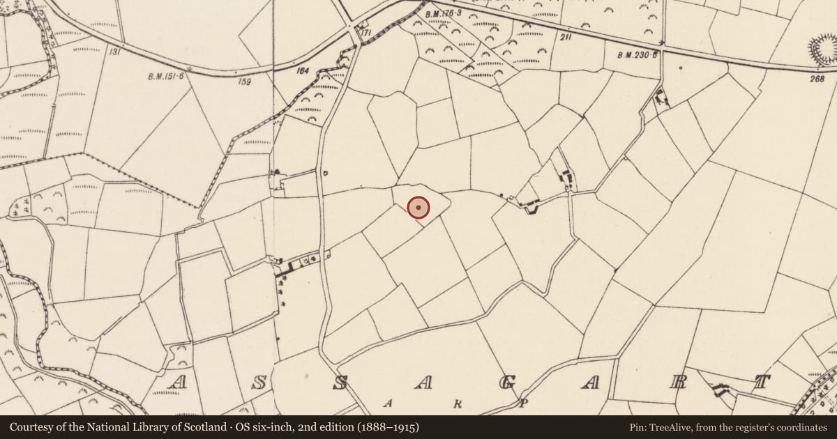 Ordnance Survey six-inch map, 2nd edition (1888–1915) covering the location of Ringfort - rath, Assagart, County Wexford, with a pin at the register's coordinates