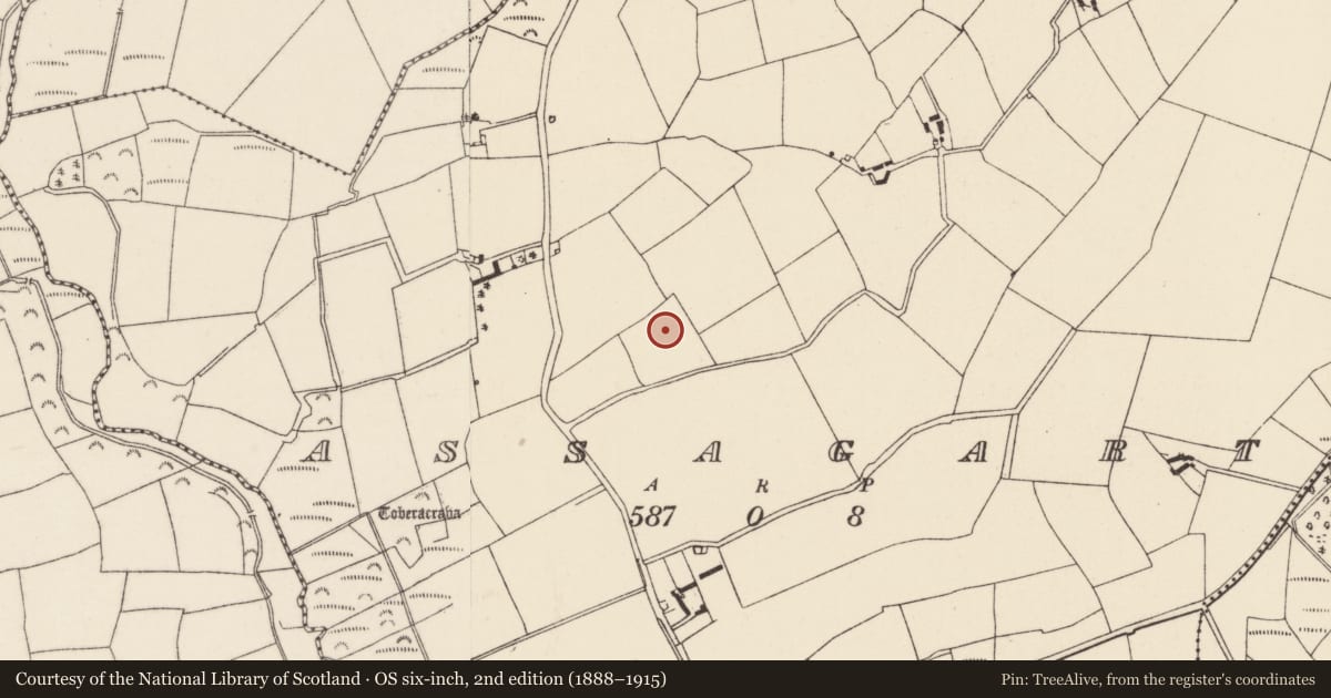 Ordnance Survey six-inch map, 2nd edition (1888–1915) covering the location of Enclosure, Assagart, County Wexford, with a pin at the register's coordinates