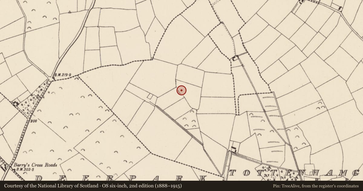 Ordnance Survey six-inch map, 2nd edition (1888–1915) covering the location of Ringfort - rath, Tottenhamgreen, County Wexford, with a pin at the register's coordinates