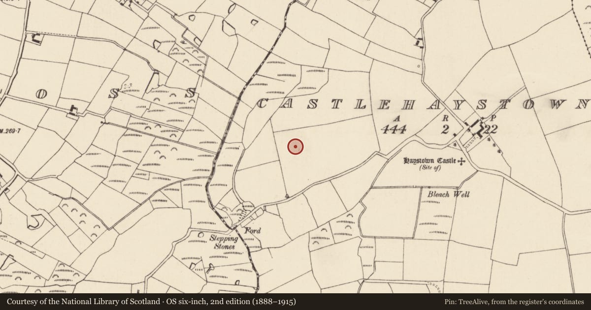 Ordnance Survey six-inch map, 2nd edition (1888–1915) covering the location of Ringfort - rath, Castlehaystown, County Wexford, with a pin at the register's coordinates