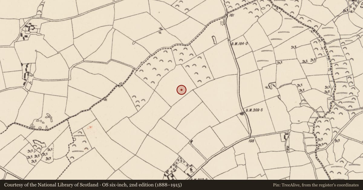 Ordnance Survey six-inch map, 2nd edition (1888–1915) covering the location of Ringfort - rath, Davidstown, County Wexford, with a pin at the register's coordinates