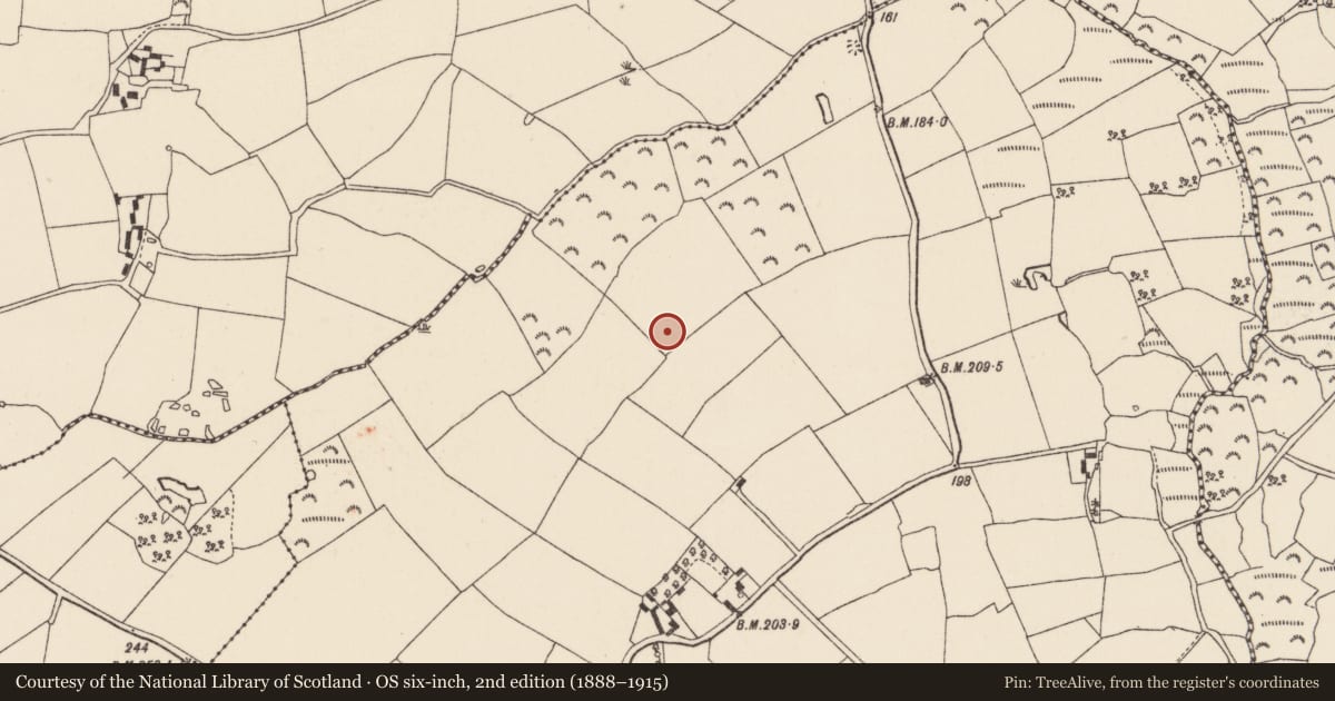 Ordnance Survey six-inch map, 2nd edition (1888–1915) covering the location of Ringfort - rath, Davidstown, County Wexford, with a pin at the register's coordinates