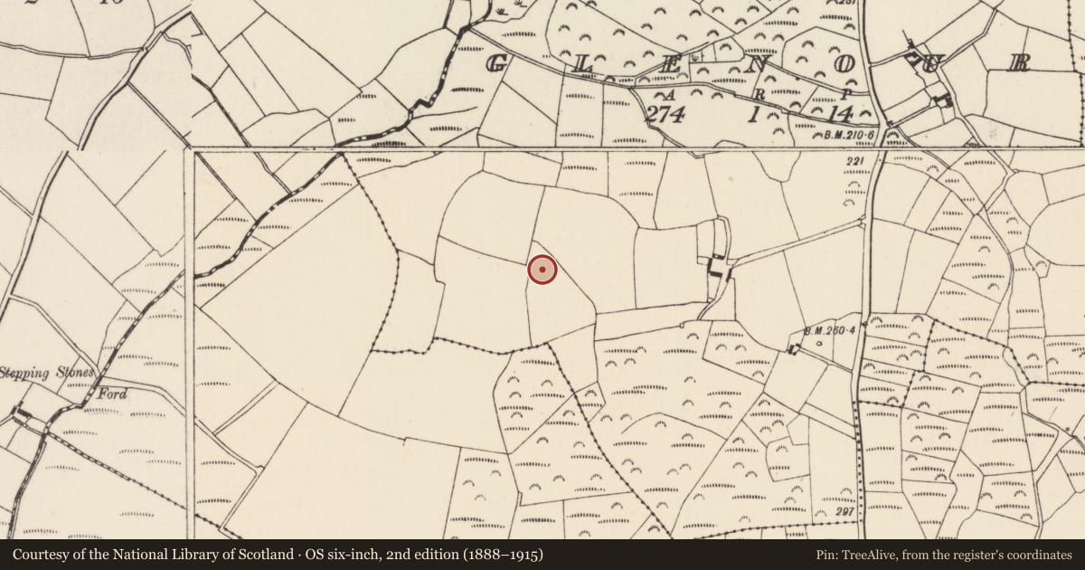 Ordnance Survey six-inch map, 2nd edition (1888–1915) covering the location of Ringfort - rath, Glenour, County Wexford, with a pin at the register's coordinates
