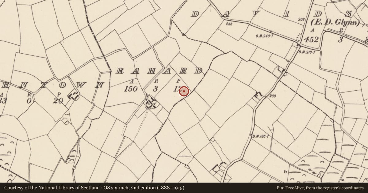 Ordnance Survey six-inch map, 2nd edition (1888–1915) covering the location of Ringfort - rath, Rahard, County Wexford, with a pin at the register's coordinates