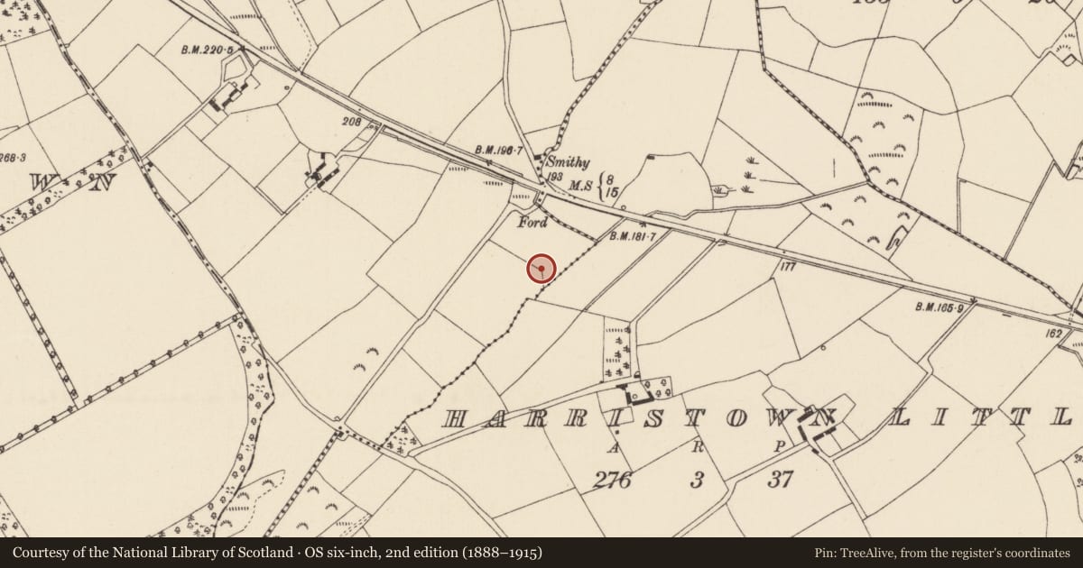 Ordnance Survey six-inch map, 2nd edition (1888–1915) covering the location of Kiln - corn-drying, Harristown Big, County Wexford, with a pin at the register's coordinates