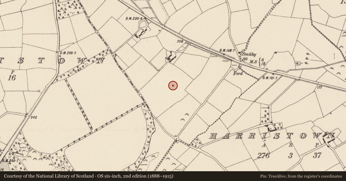 Ordnance Survey six-inch map, 2nd edition (1888–1915) covering the location of Excavation - miscellaneous, Harristown Big, County Wexford, with a pin at the register's coordinates