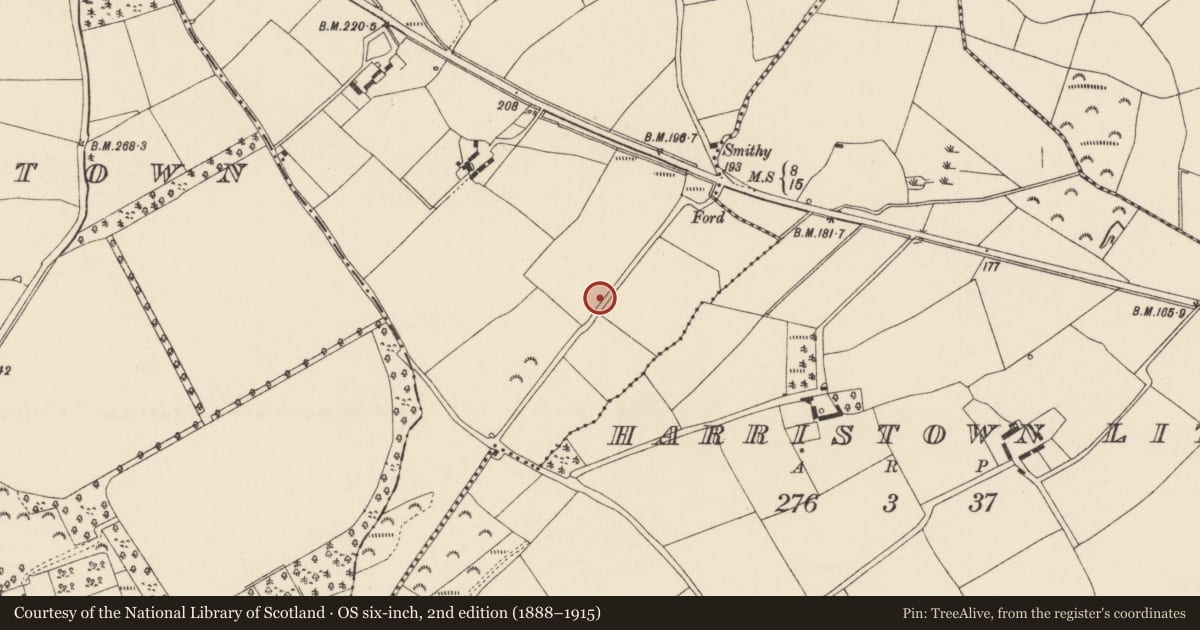 Ordnance Survey six-inch map, 2nd edition (1888–1915) covering the location of Excavation - miscellaneous, Harristown Big, County Wexford, with a pin at the register's coordinates