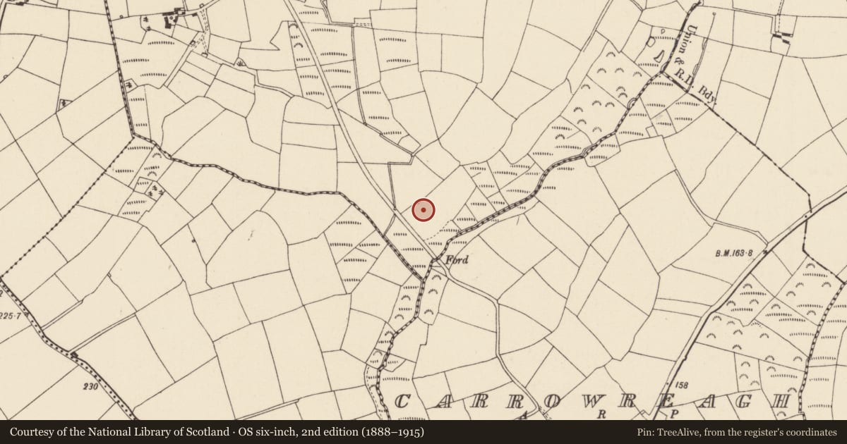 Ordnance Survey six-inch map, 2nd edition (1888–1915) covering the location of Kiln - corn-drying, Camaross, County Wexford, with a pin at the register's coordinates