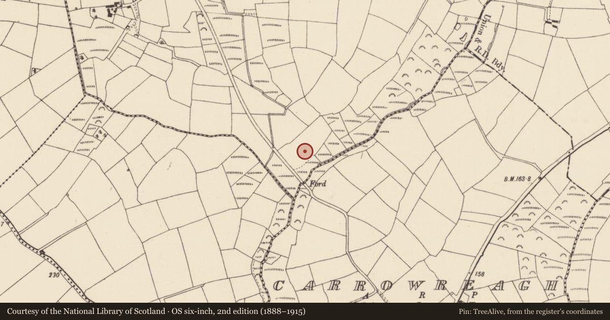Ordnance Survey six-inch map, 2nd edition (1888–1915) covering the location of Field system, Camaross, County Wexford, with a pin at the register's coordinates