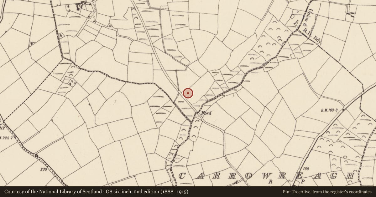 Ordnance Survey six-inch map, 2nd edition (1888–1915) covering the location of House - medieval, Camaross, County Wexford, with a pin at the register's coordinates